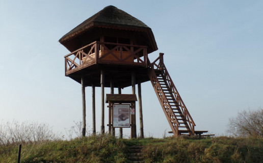 14_Uostadvario ap+valgos bok+telis.jpg